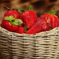 5 Pași către o recoltă fără precedent de căpșuni