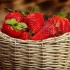 5 Pași către o recoltă fără precedent de căpșuni